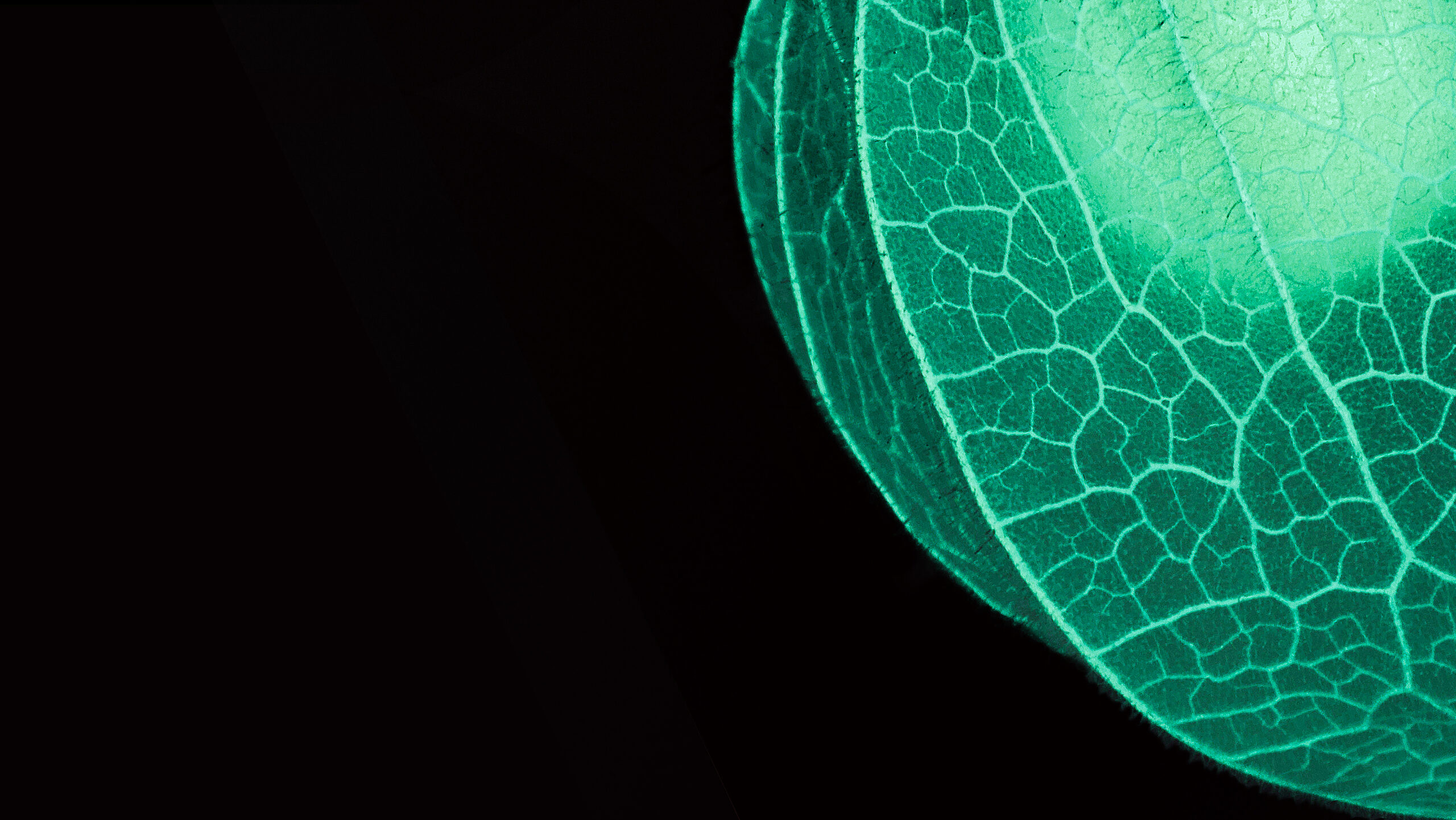 motiv2026-web-teaser